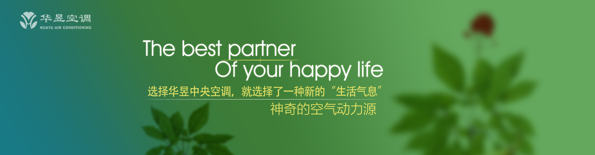 阿姑阿翁网